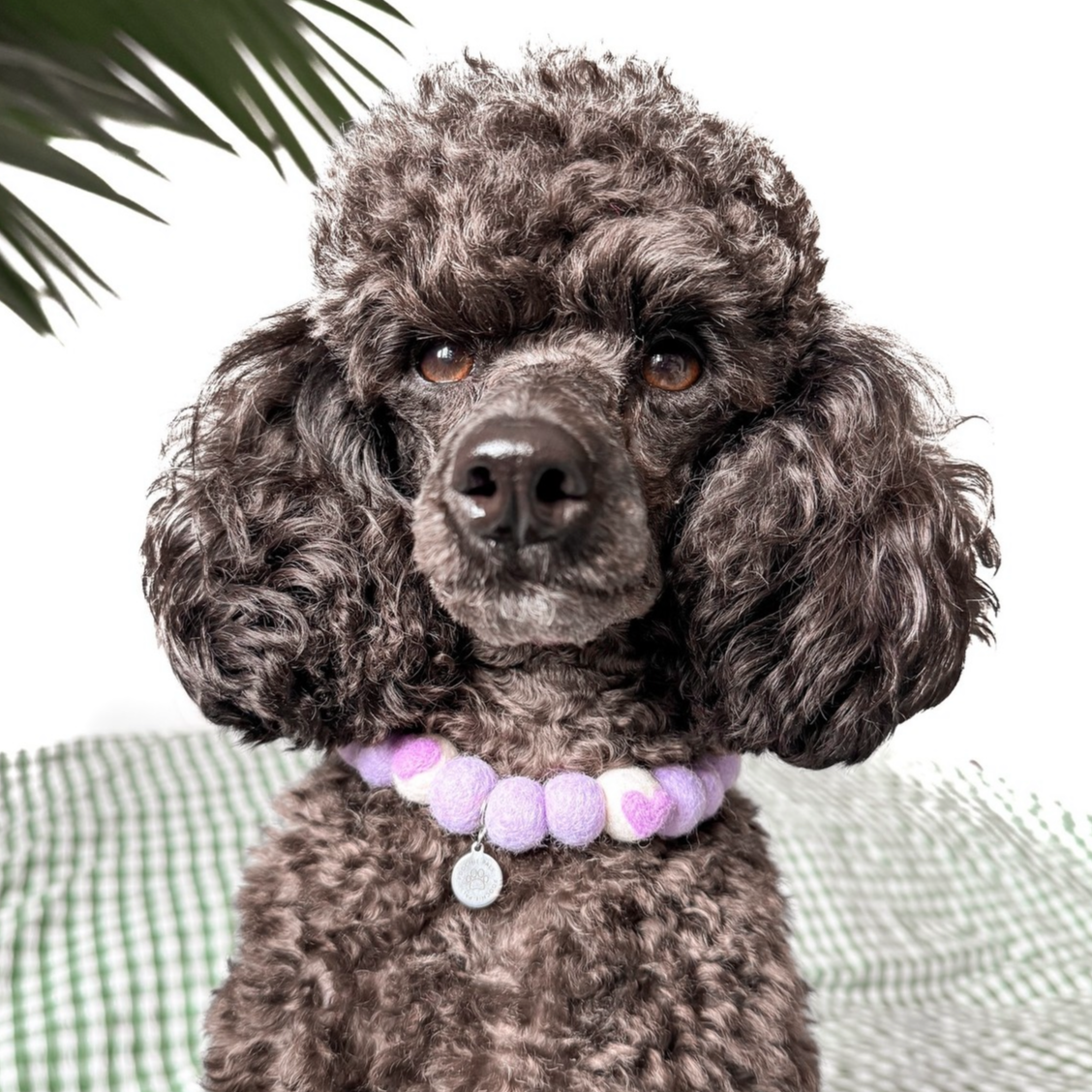 Lilac Love Pom Pom Collar