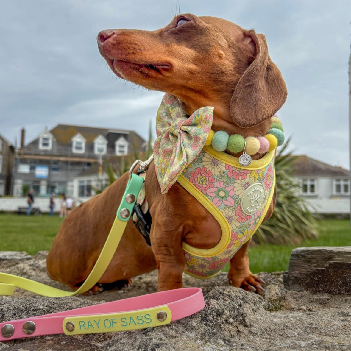 Sunshine Meadow Adjustable Harness