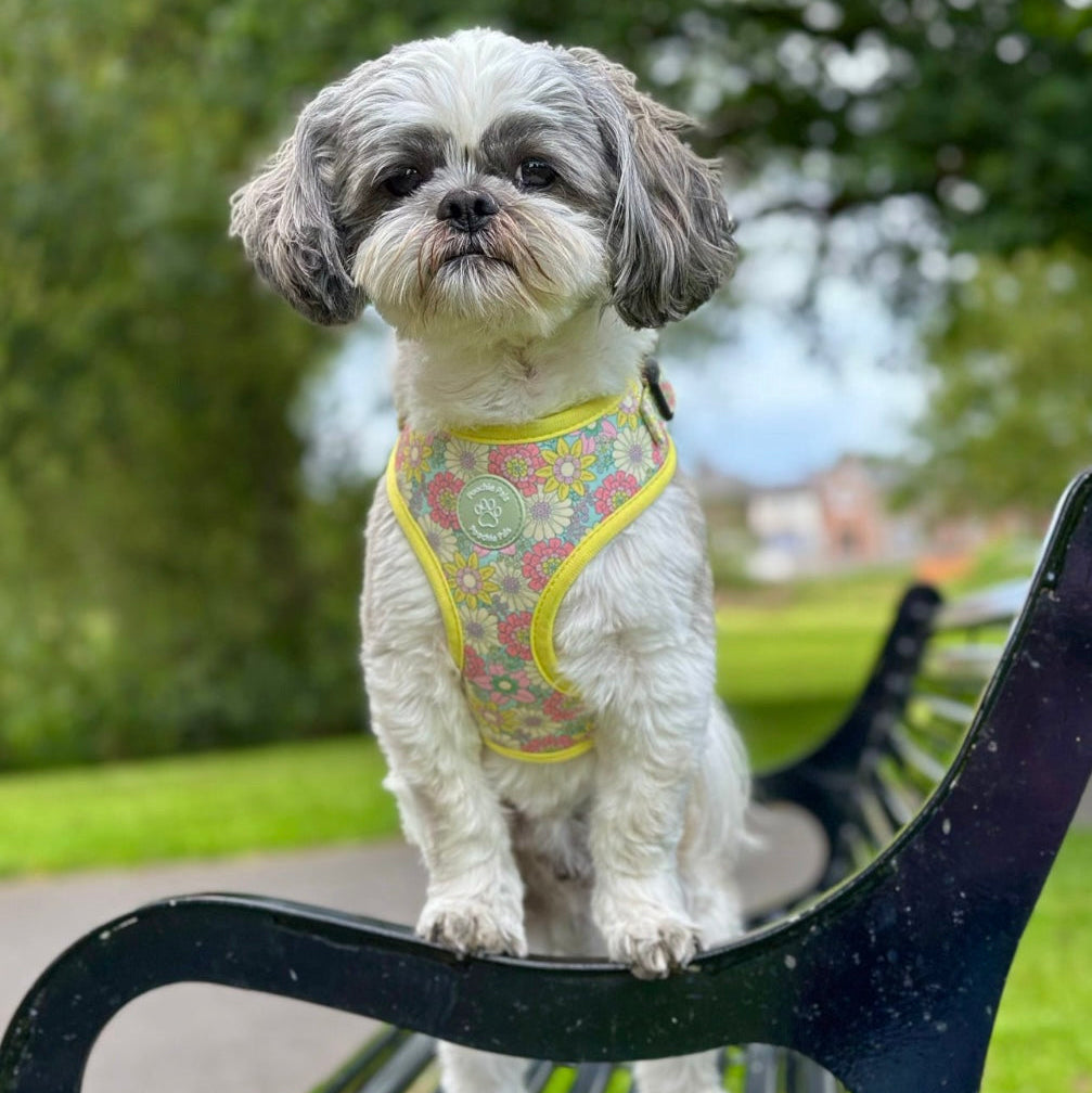 Sunshine Meadow Adjustable Harness
