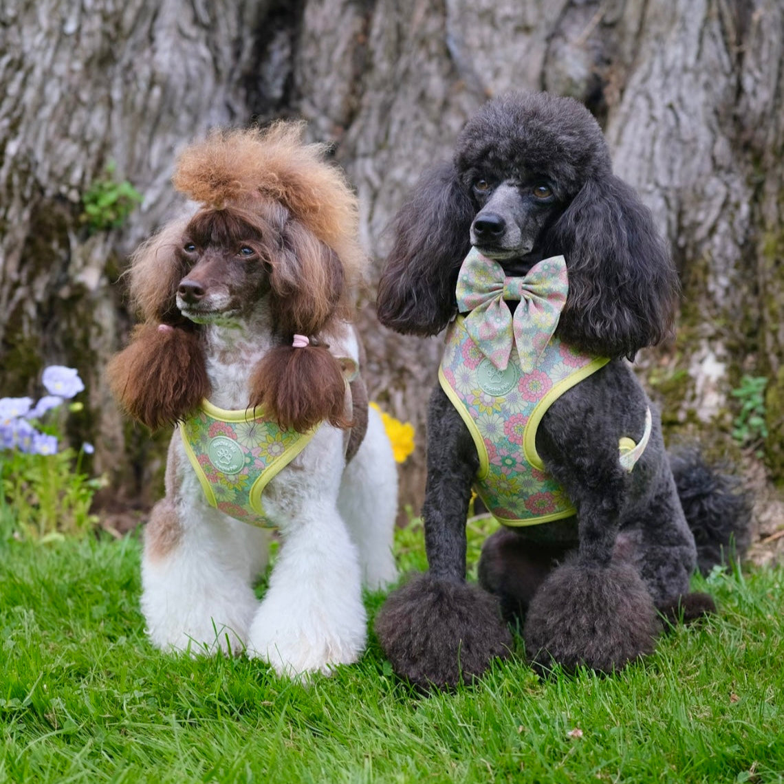 Sunshine Meadow Adjustable Harness