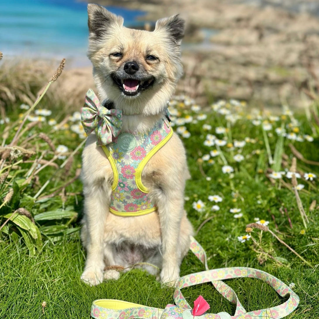 Sunshine Meadow Adjustable Harness