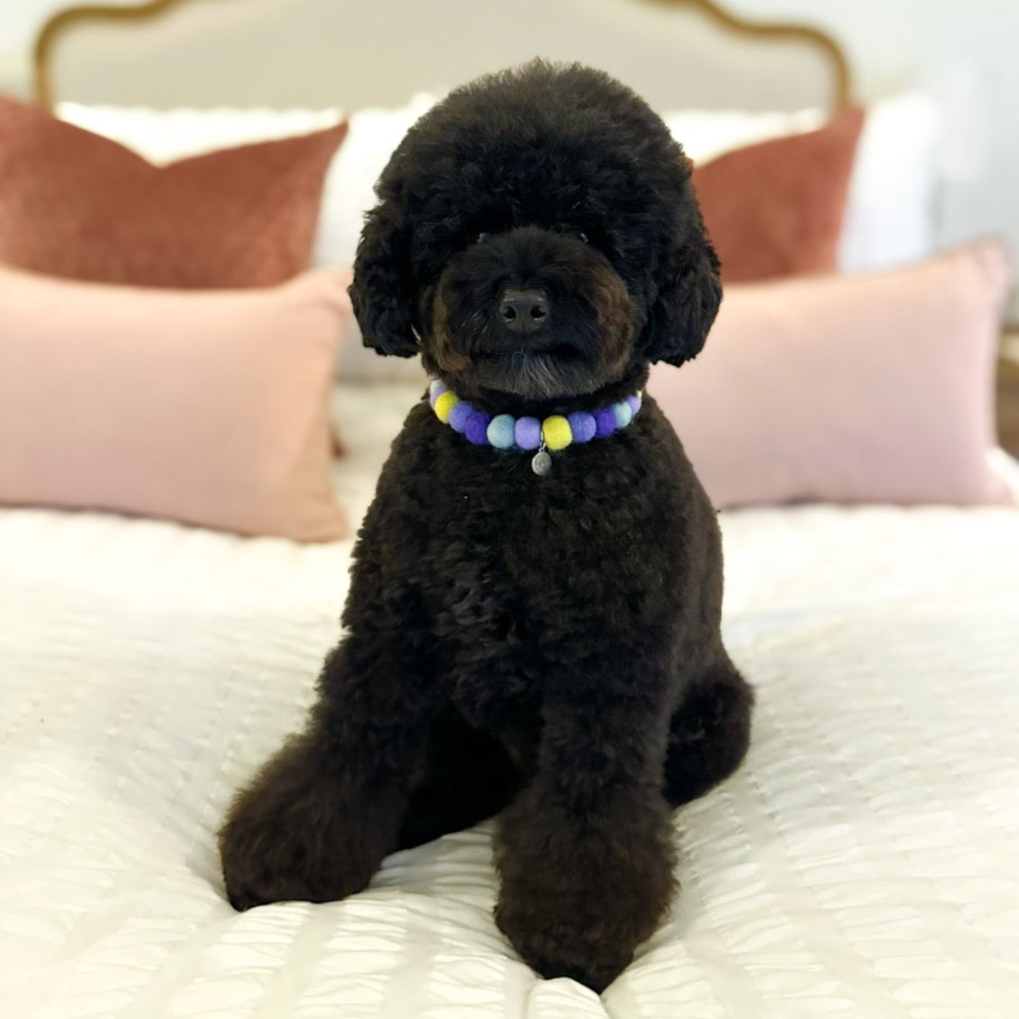 Iris Pom Pom Collar