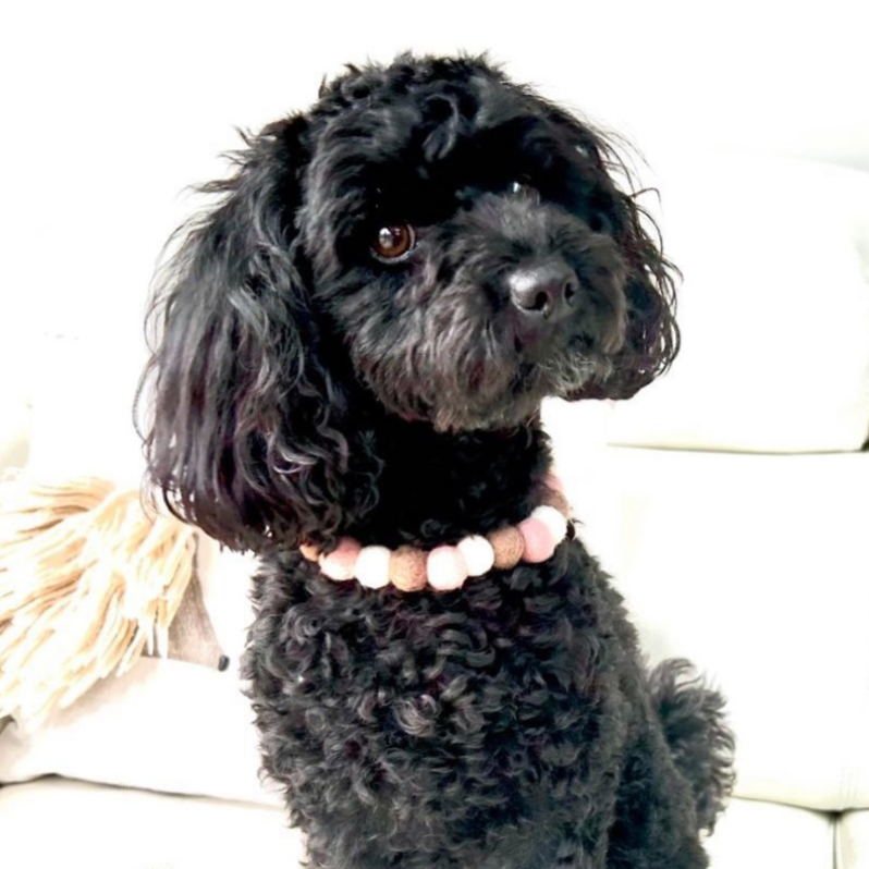 Hot Chocolate & Marshmallow Pom Pom Collar