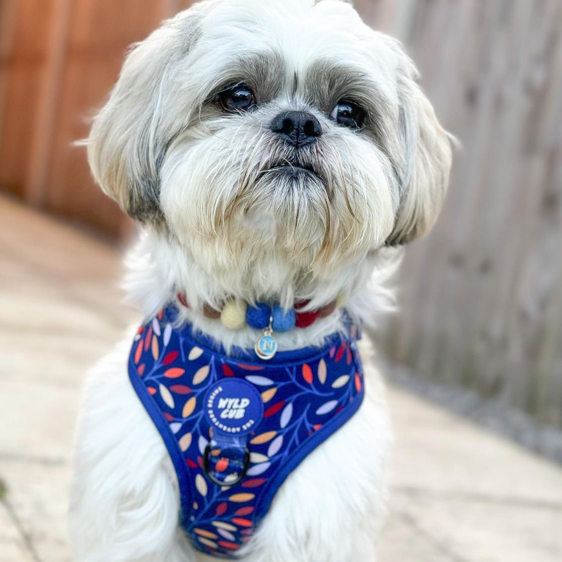 Muddy Puddles Pom Pom Collar