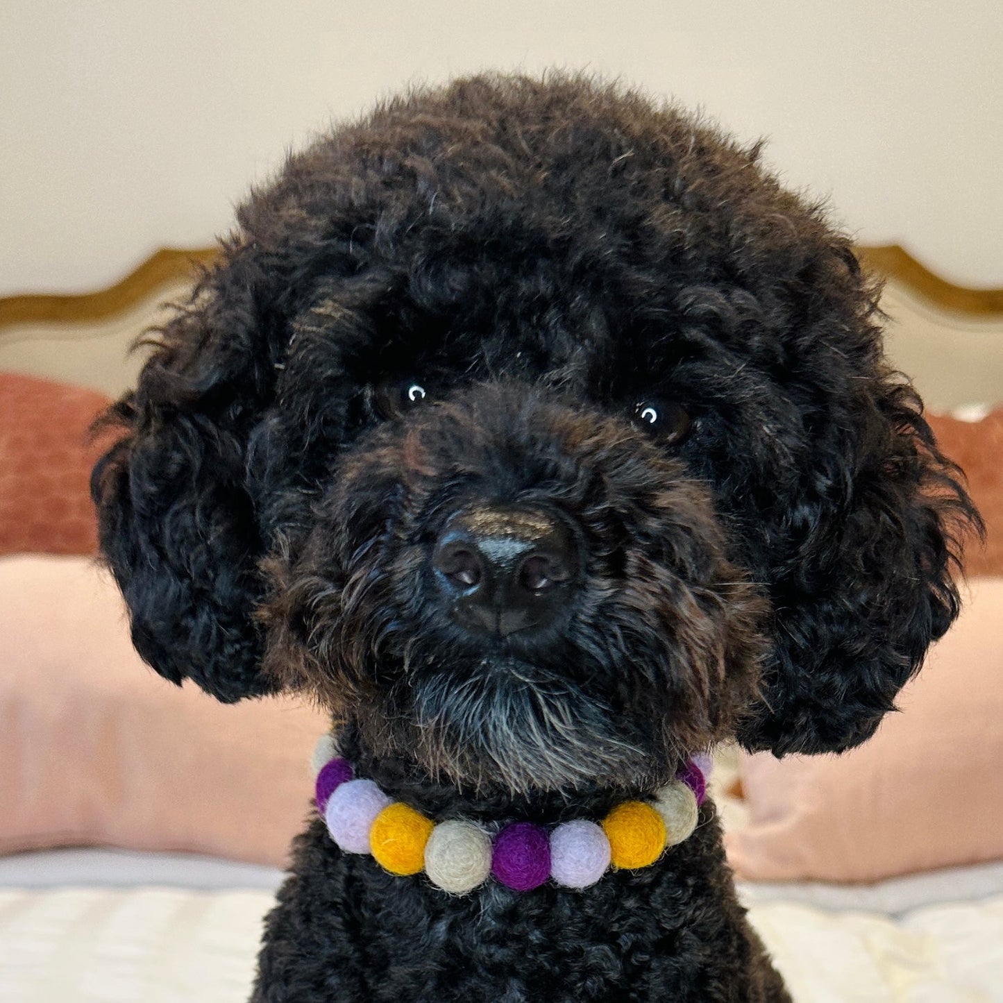 Mulberry Pom Pom Collar
