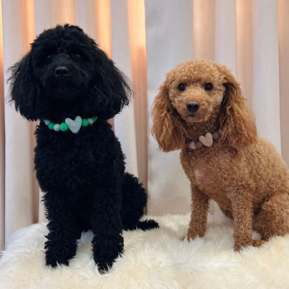 Mocha Heart Pom Pom Collar