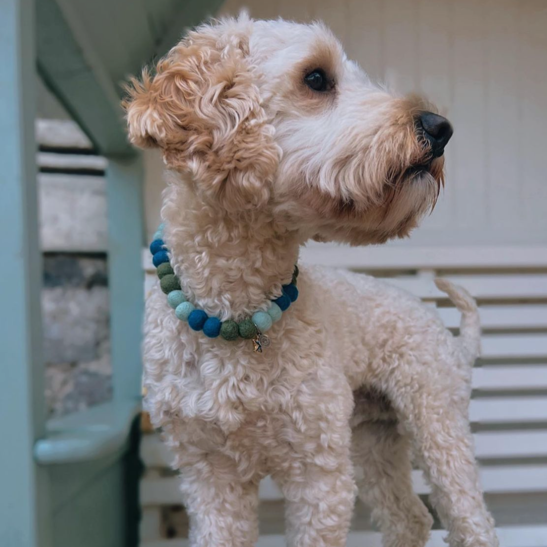 Tidal Pool Pom Pom Collar