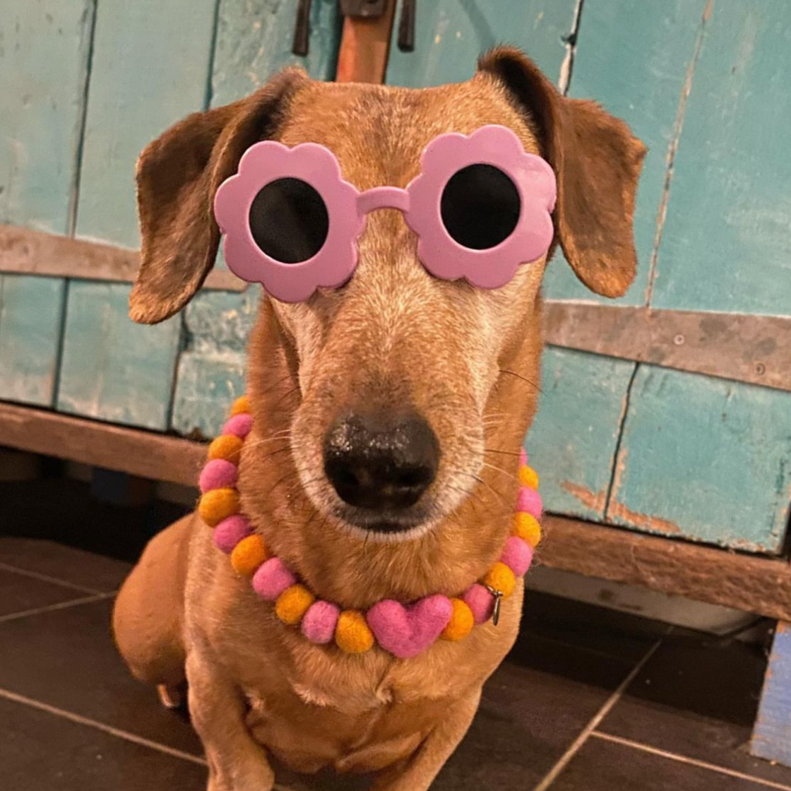 Strawberry Sunset Heart Pom Pom Collar