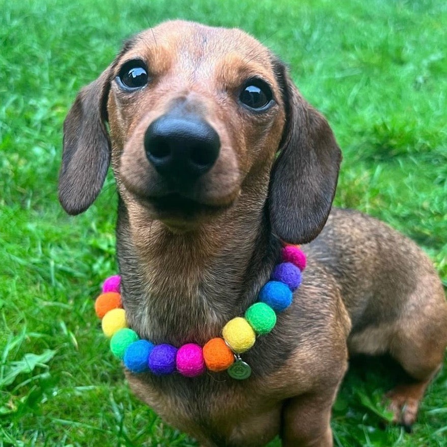 Rainbow Pom Pom Dog Collar Necklace