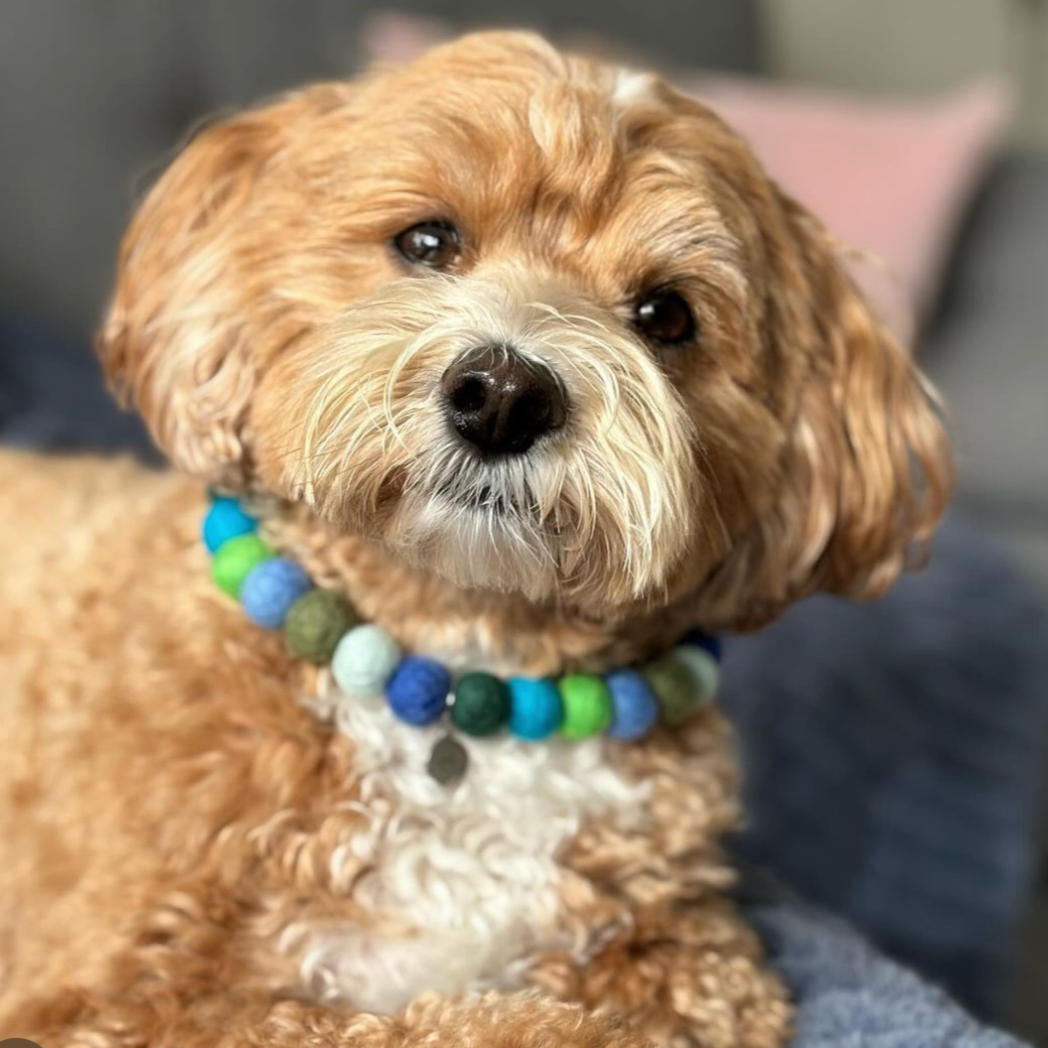 Lagoon Pom Pom Collar