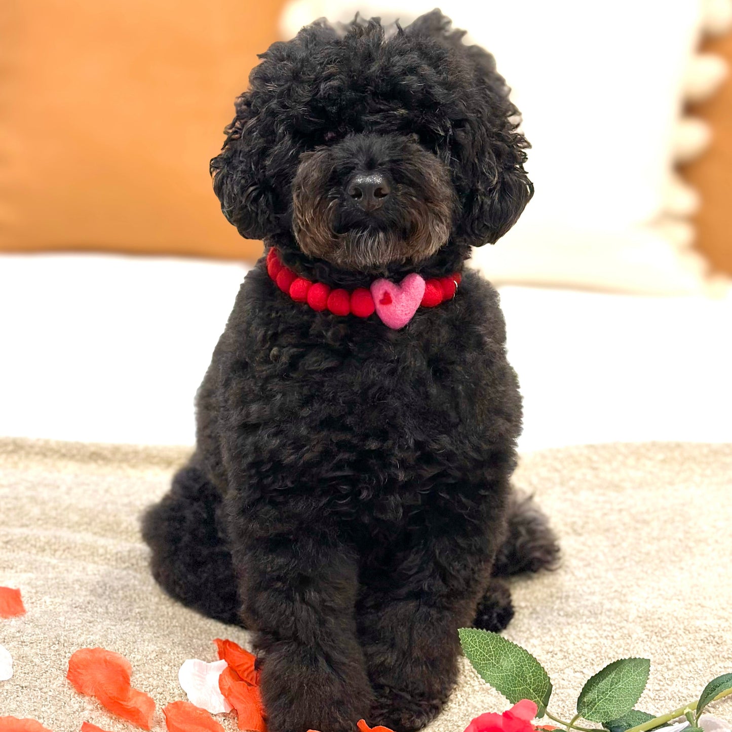 Casanova Kisses Red Pom Pom Collar