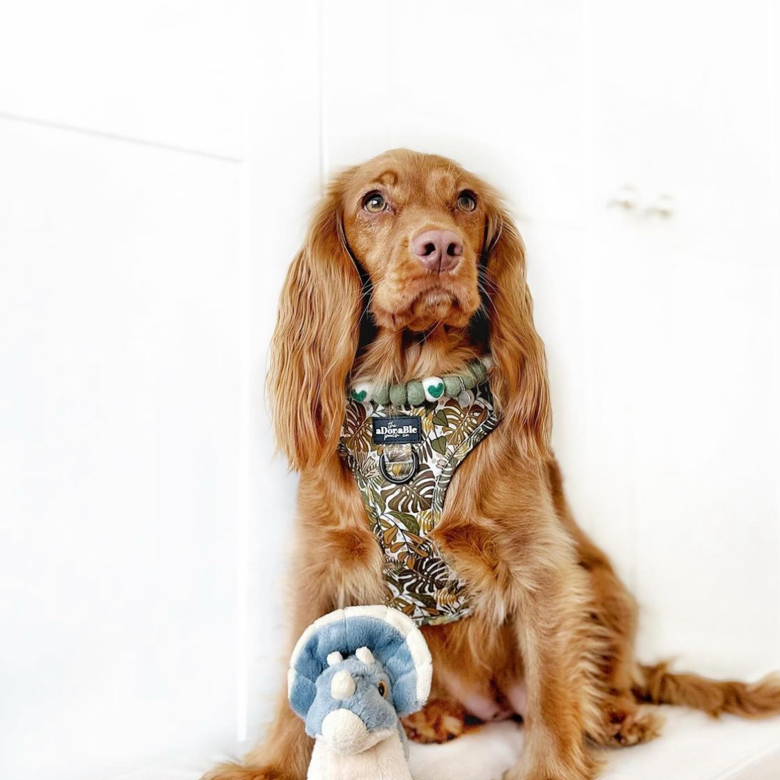 Olive You Pom Pom Collar