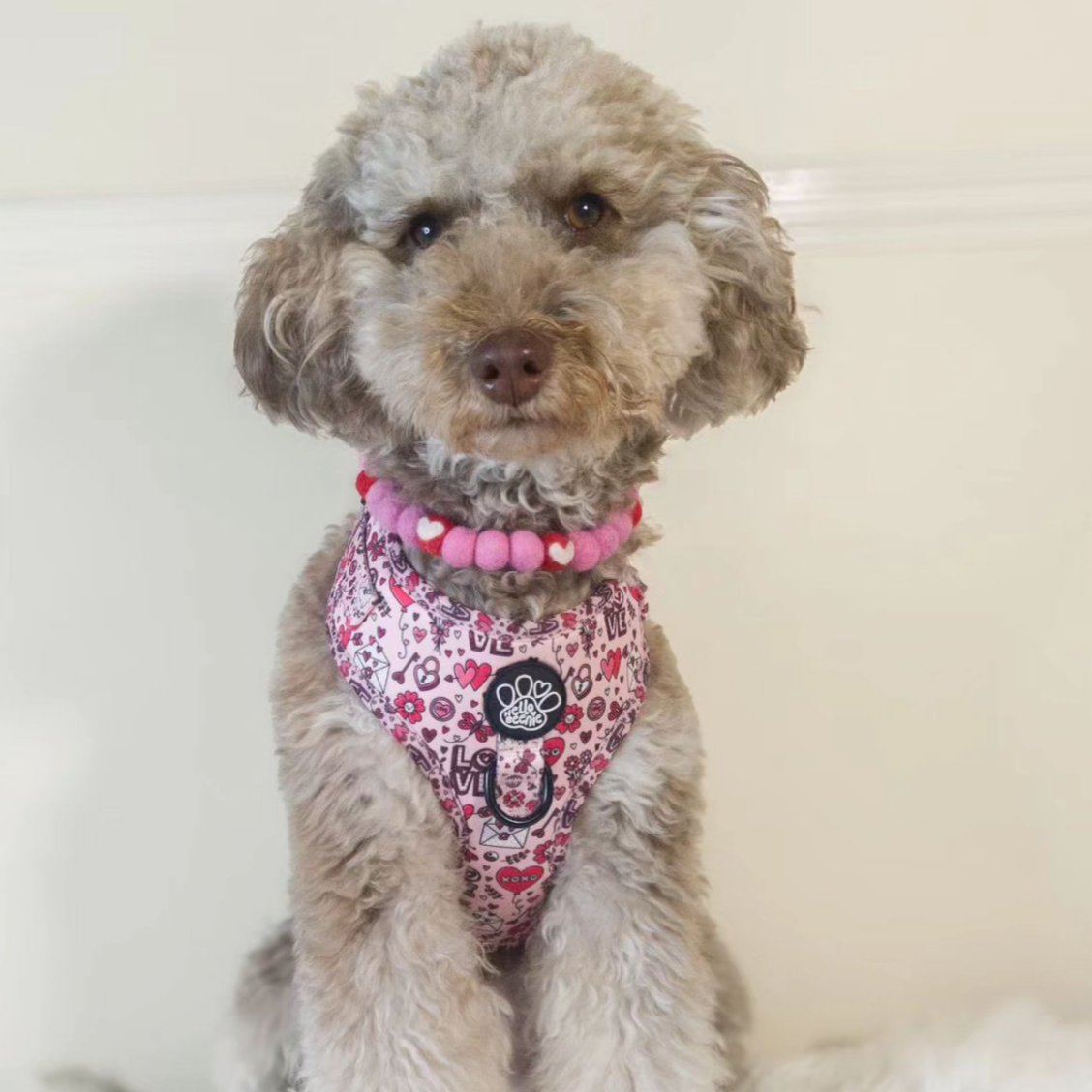 Sweet Romance Pom Pom Collar