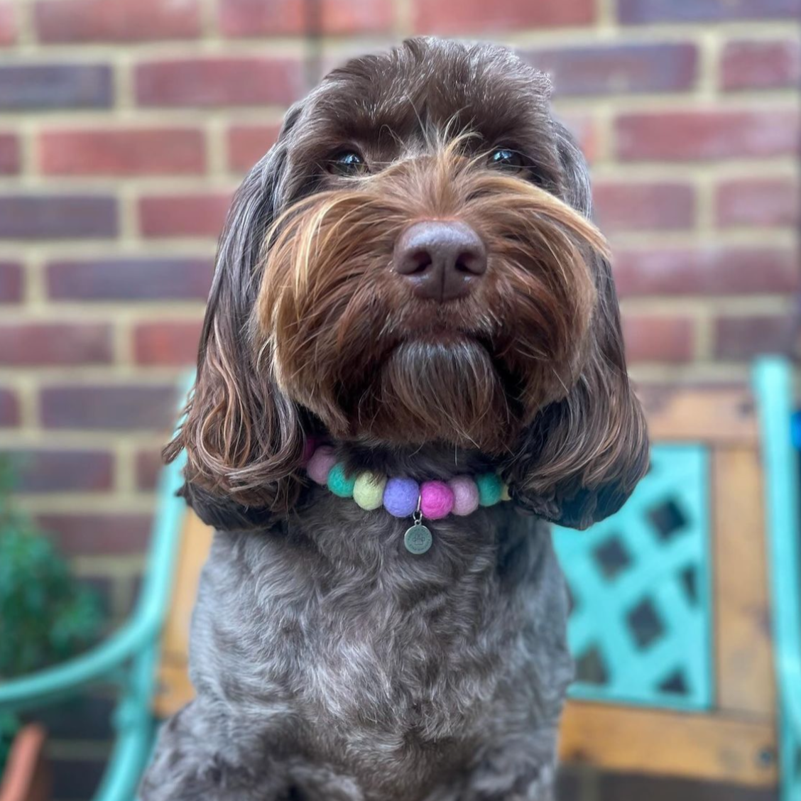 Pastel Pop Pom Pom Collar