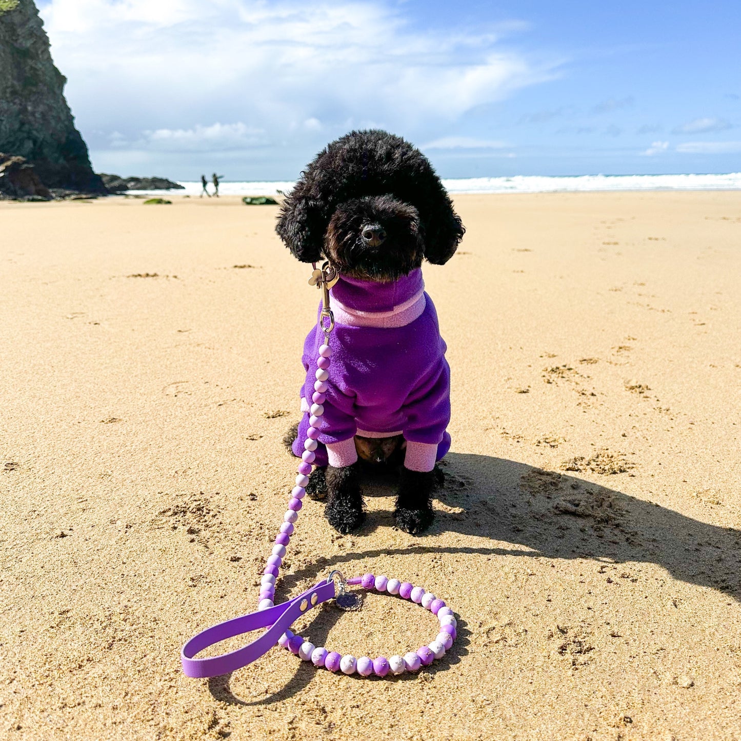 Verbena Biothane Dog Lead Lead