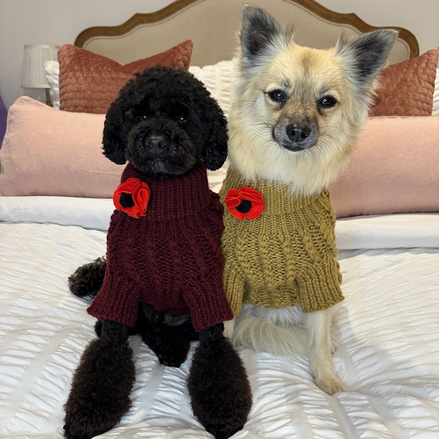 Remembrance Day Poppy - Pin