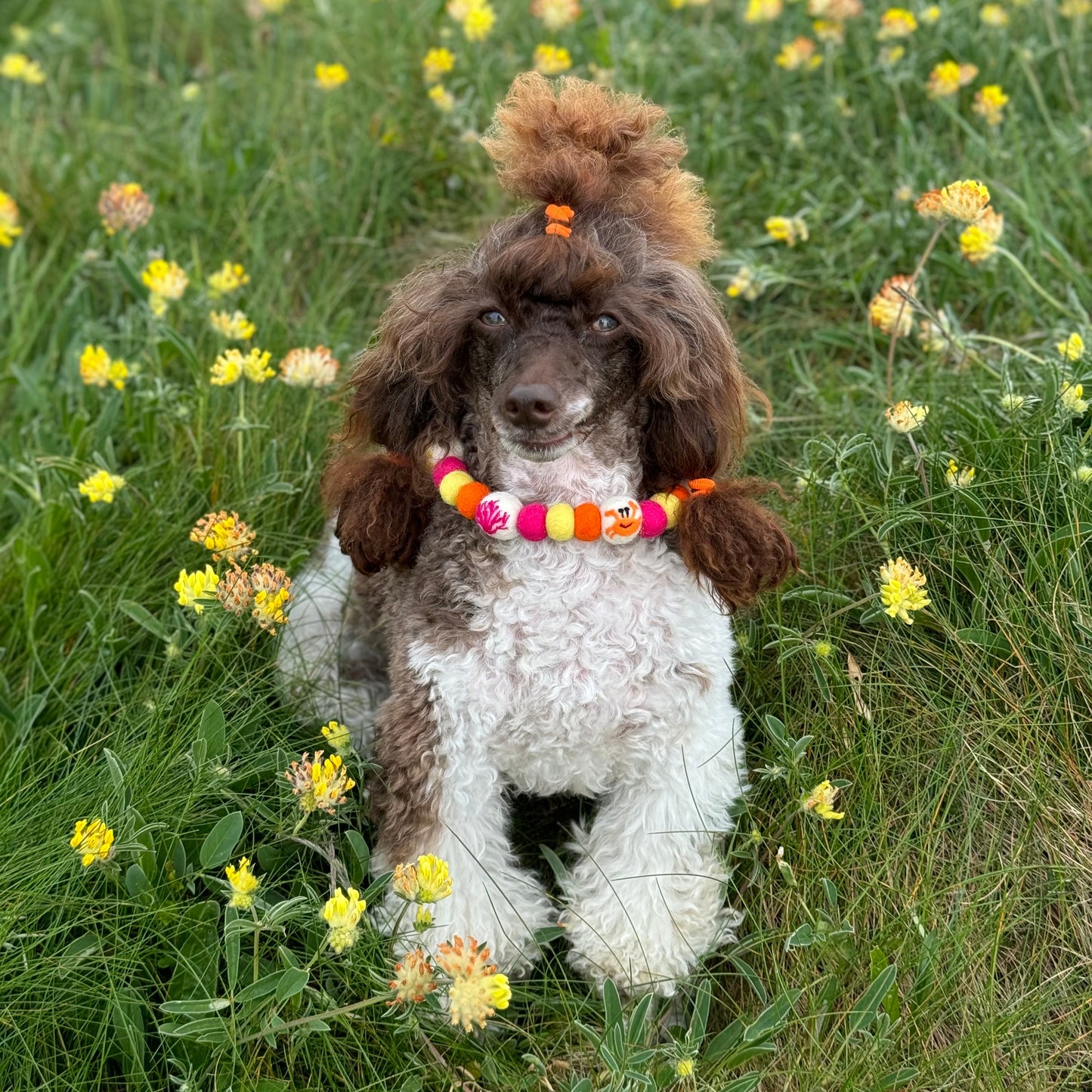 Beach Babe Pom Pom Collar