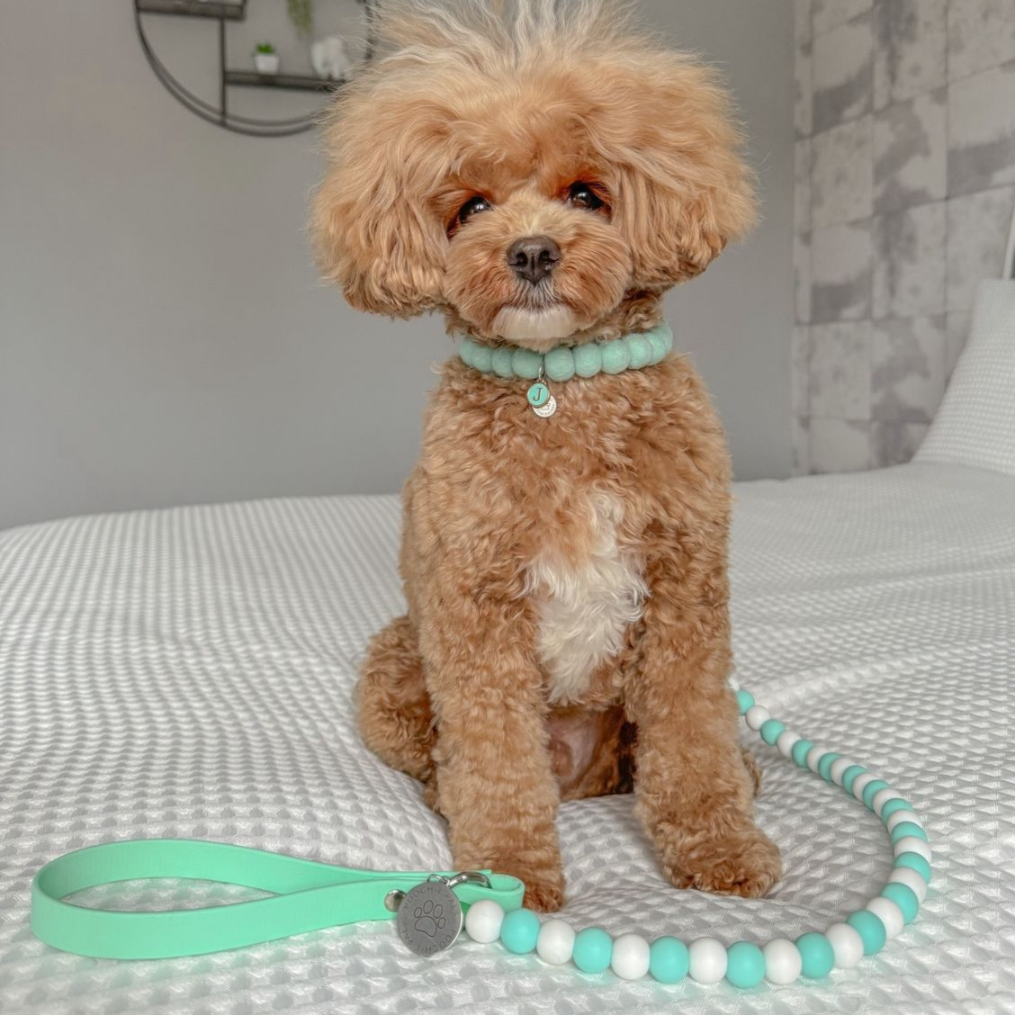Mint Blue Pom Pom Collar