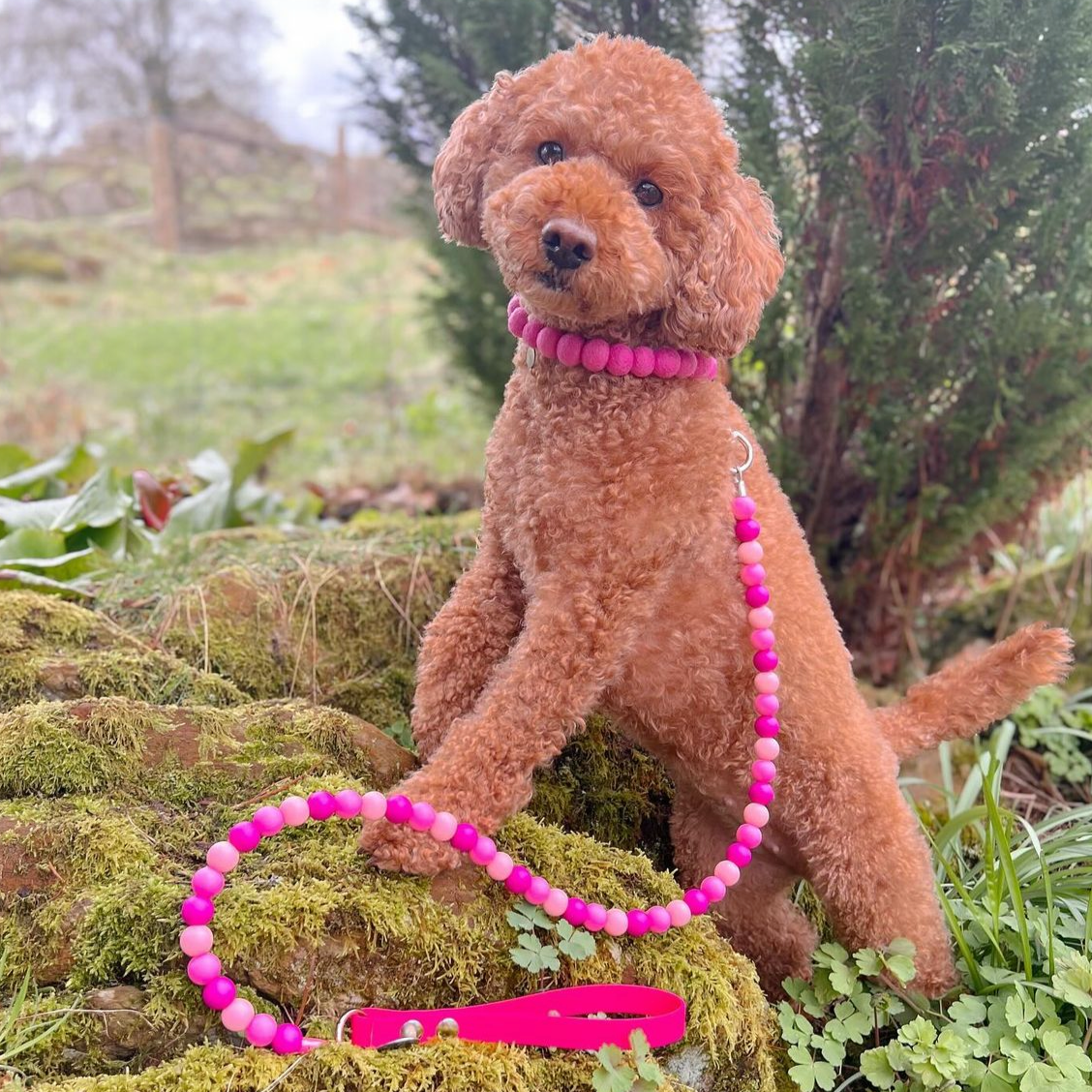 Fuchsia Pom Pom Collar