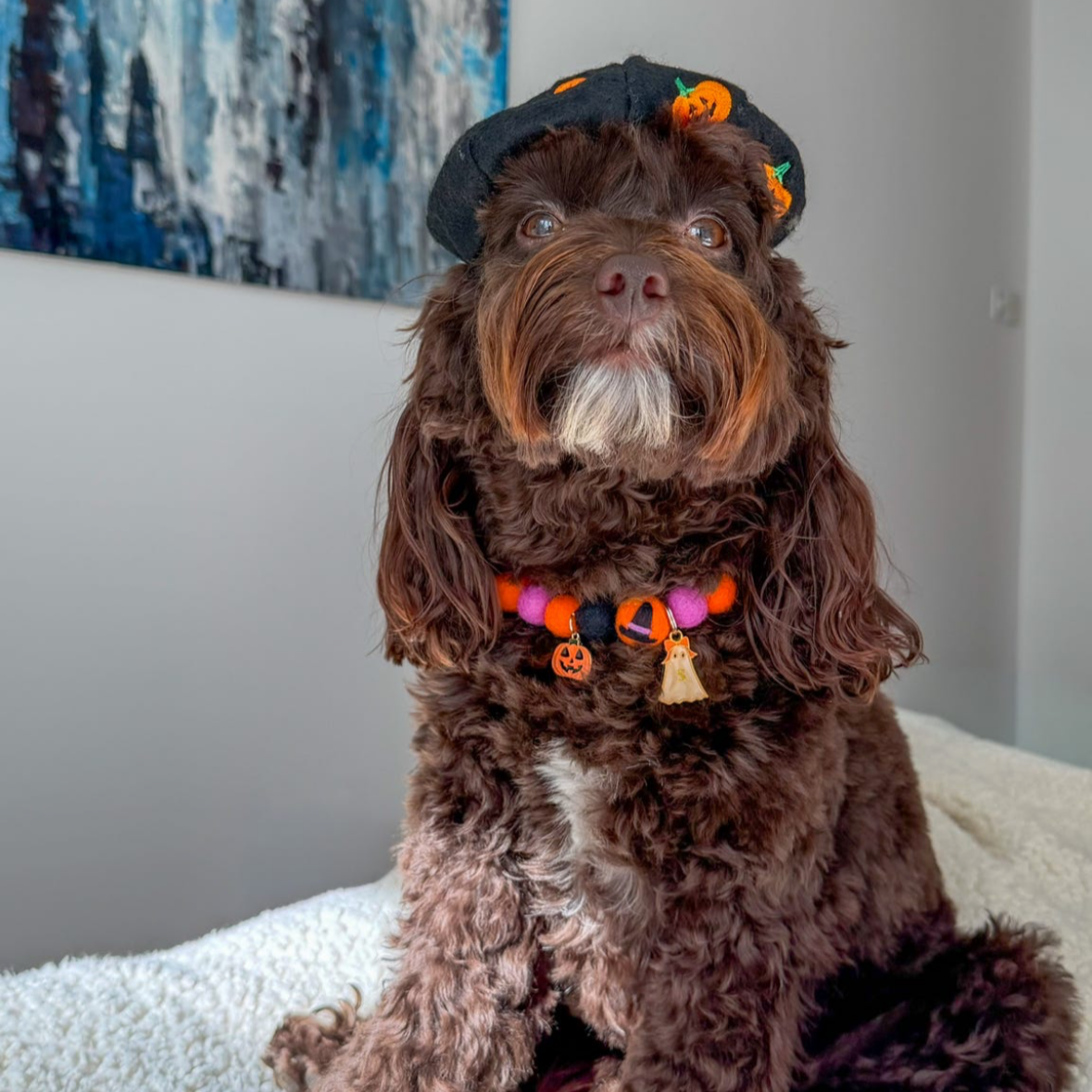 Bewitched Pom Pom Collar