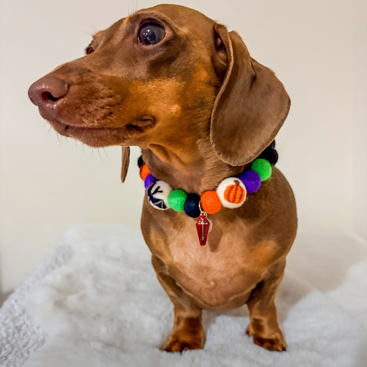 Monster Mash Pom Pom Collar