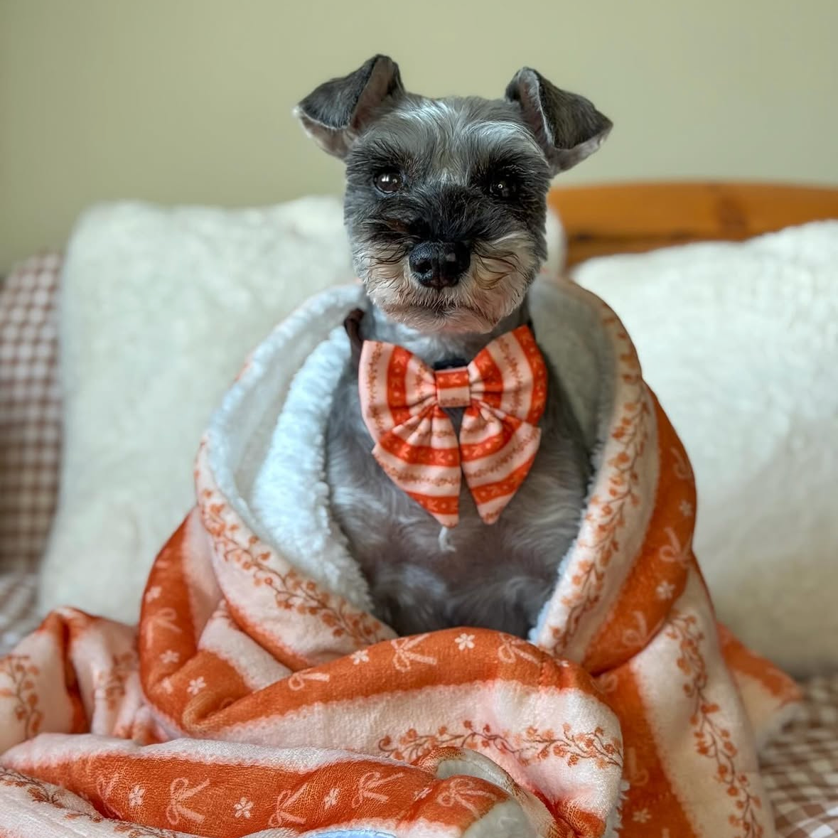 Bows & Blooms Blanket