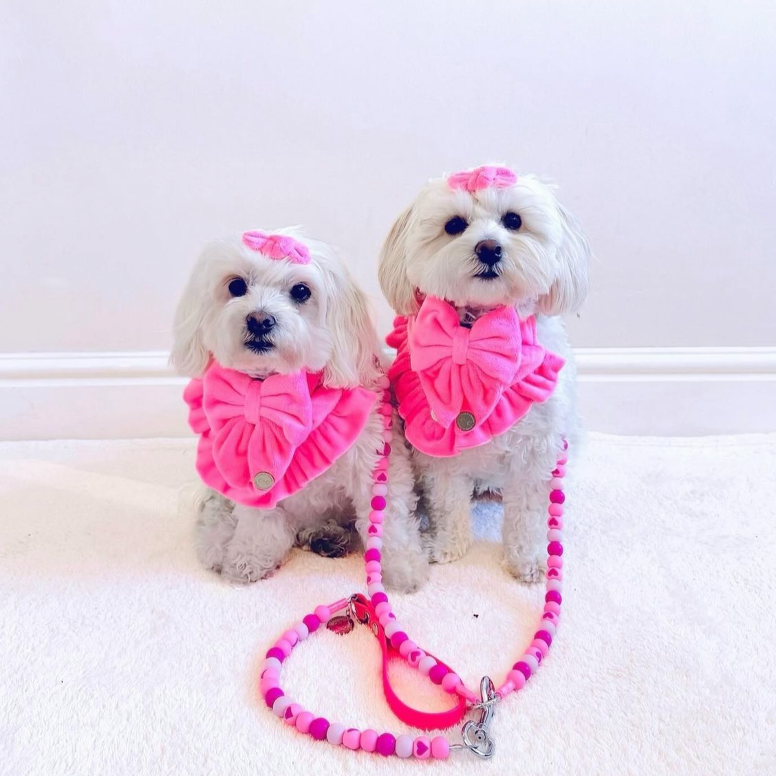 Pinktastic Passion Biothane Dog Lead