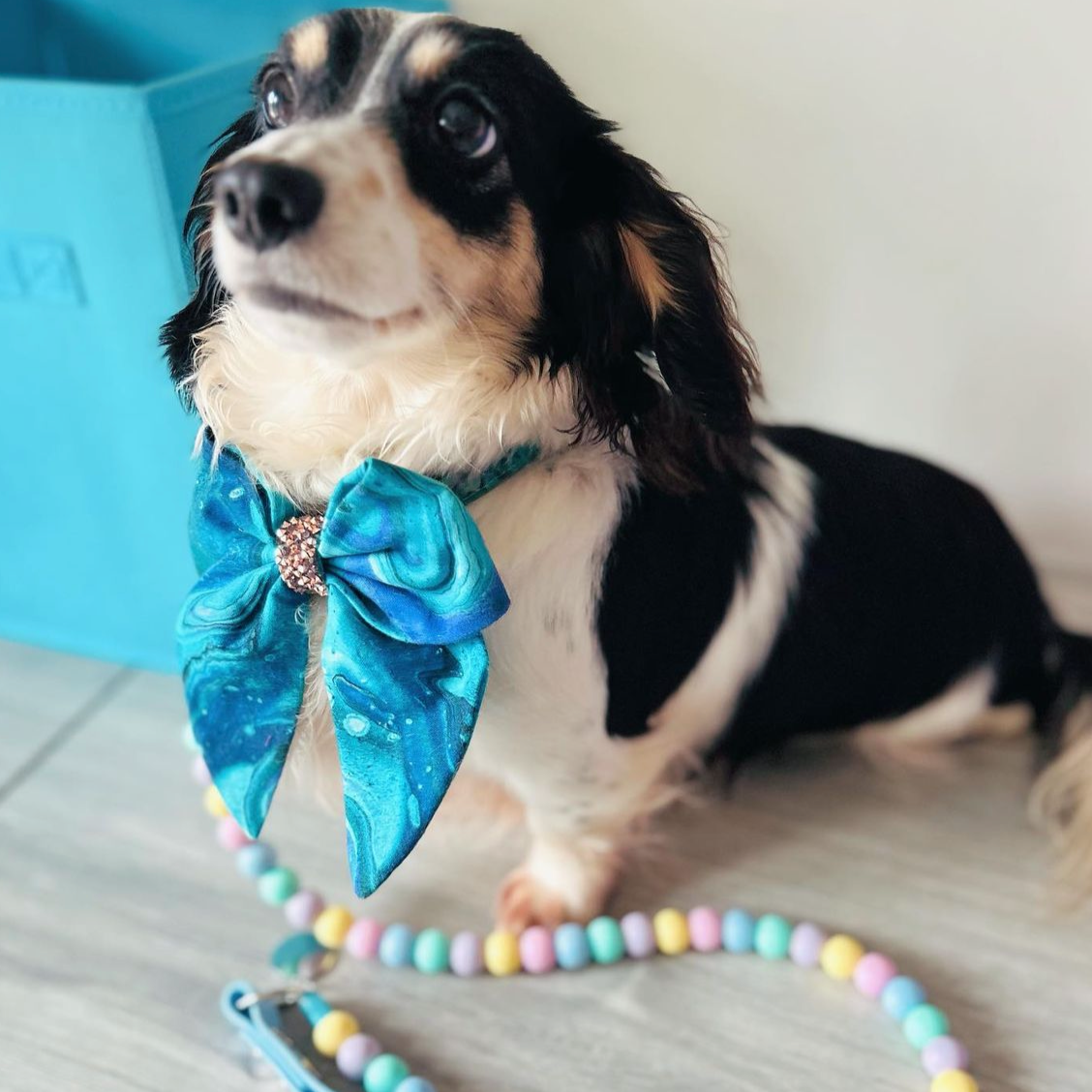 Pastel Paradise Biothane Dog Lead