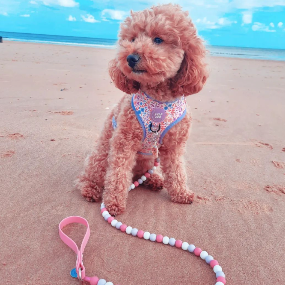 Custom Biothane Beaded Dog Lead