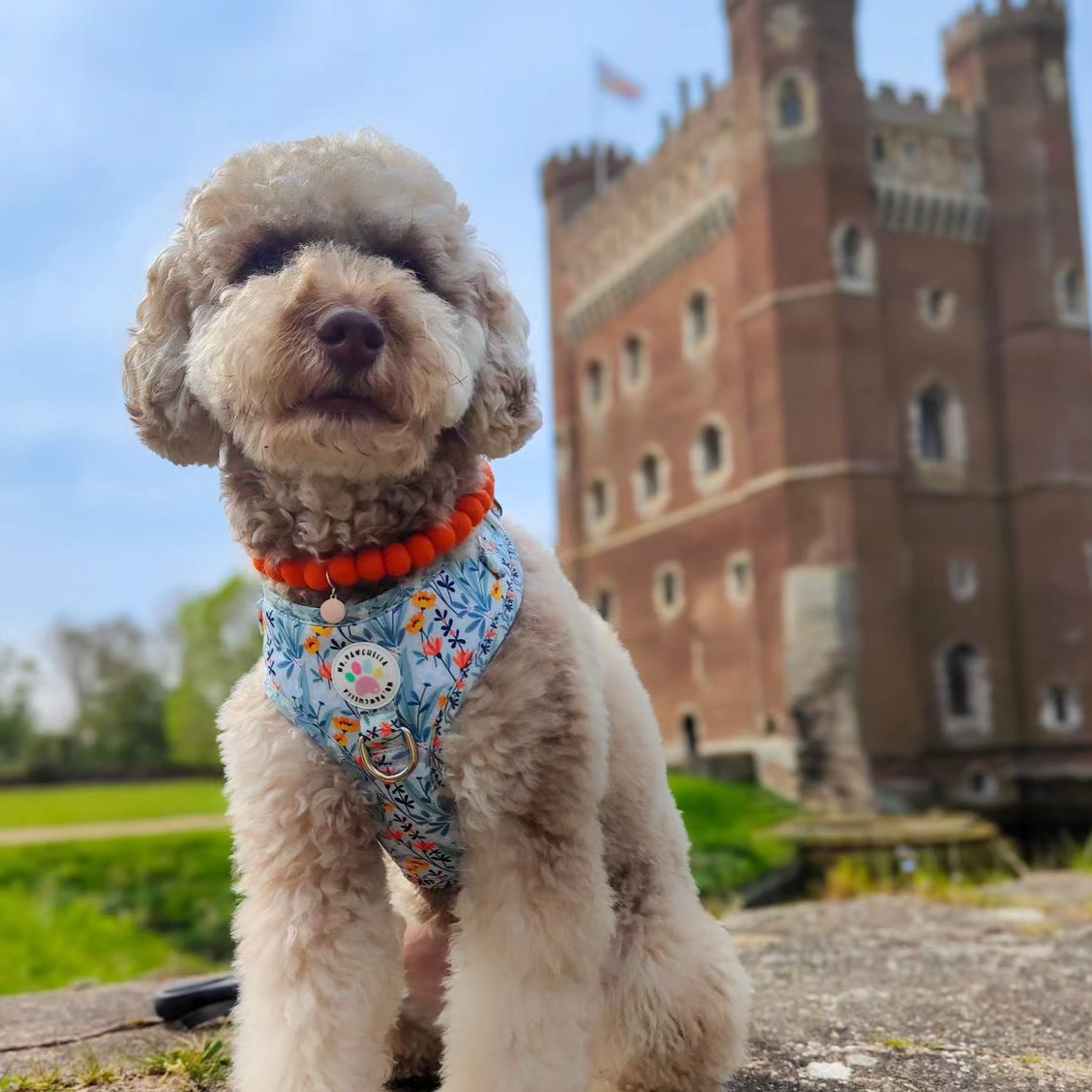 Bright Orange Pom Pom Collar