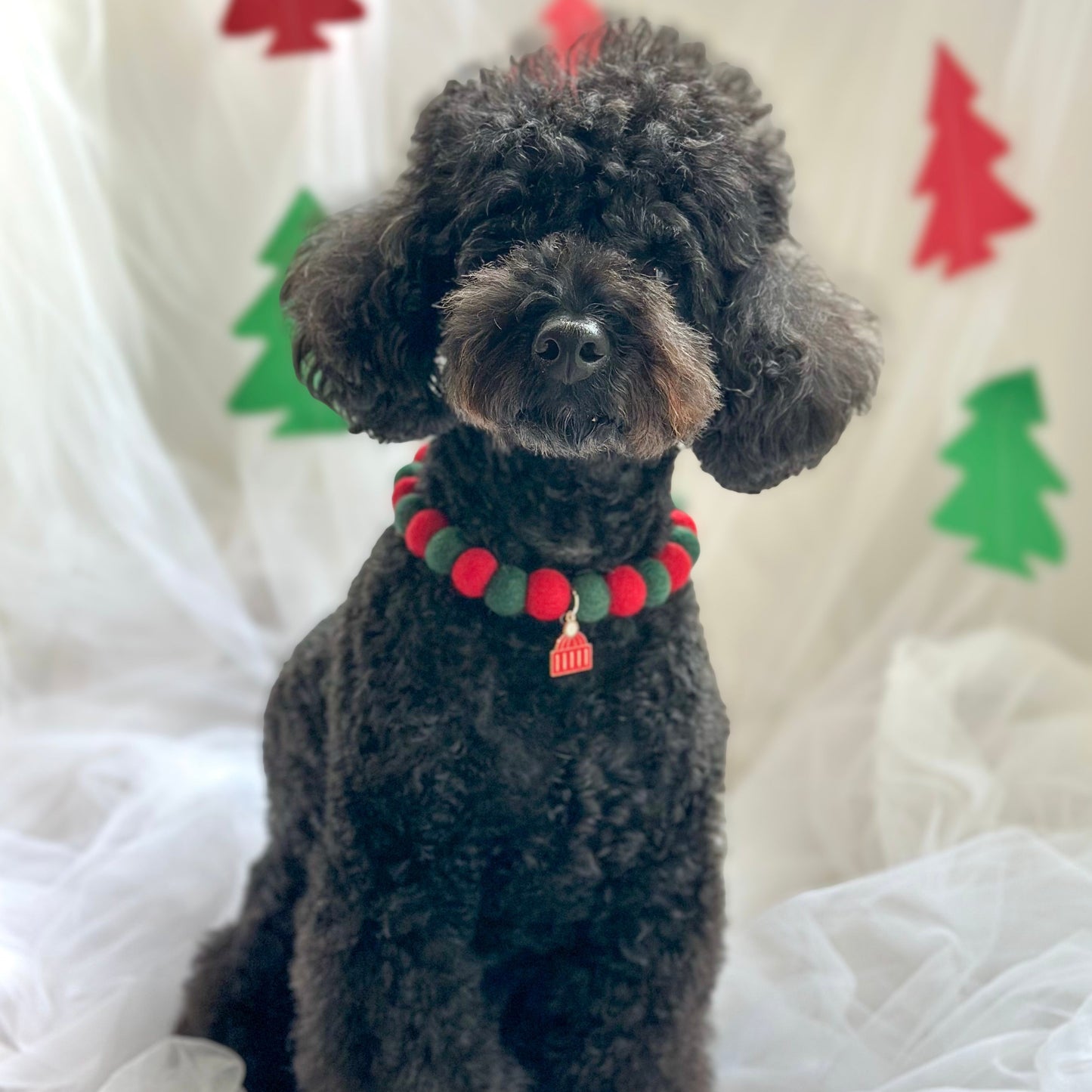 Christmas Berries Collar