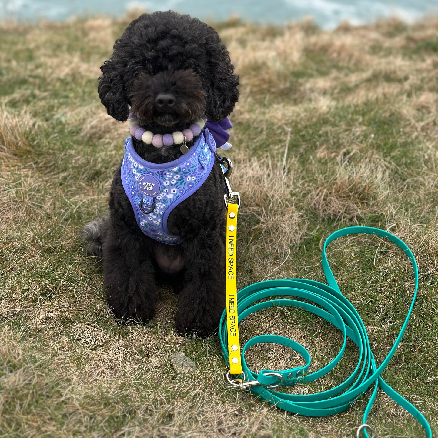 Custom Lead Extension