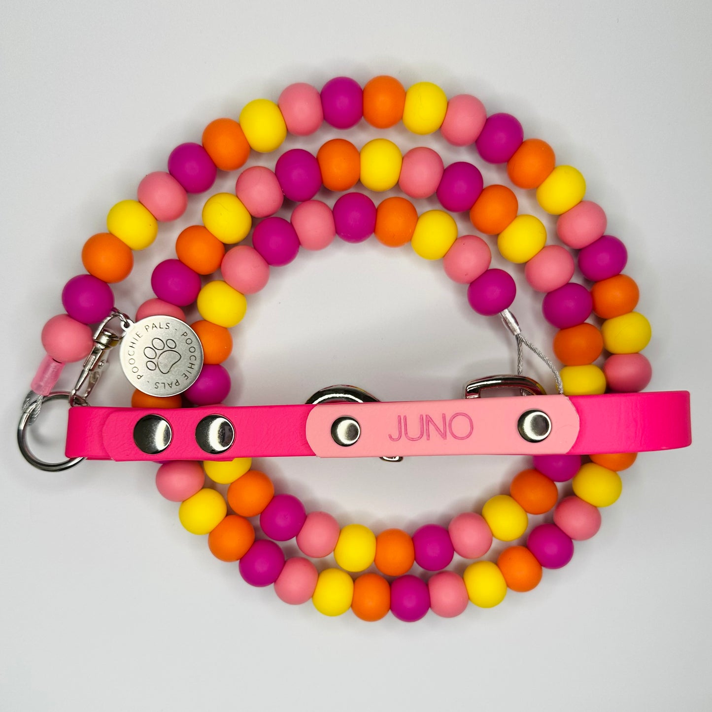 Custom Biothane Beaded Dog Lead