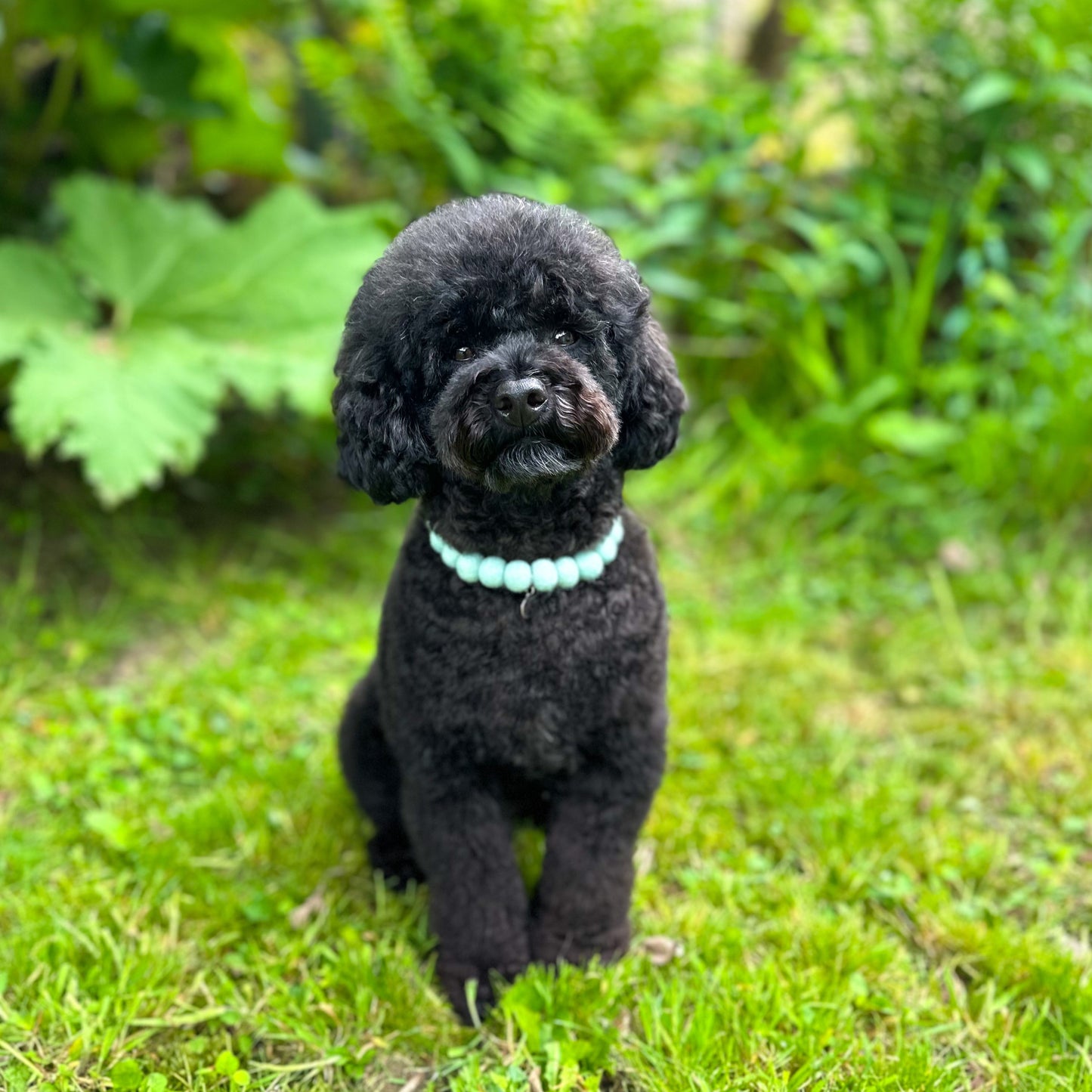 Sage Pom Pom Collar