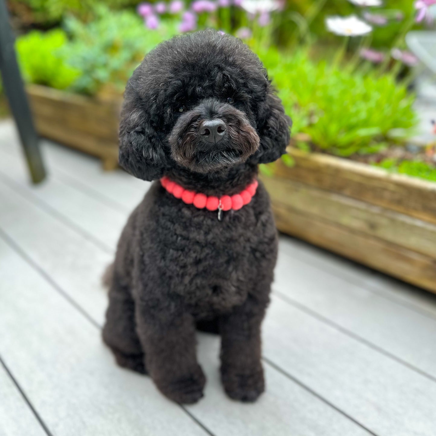 Coral Pom Pom Collar