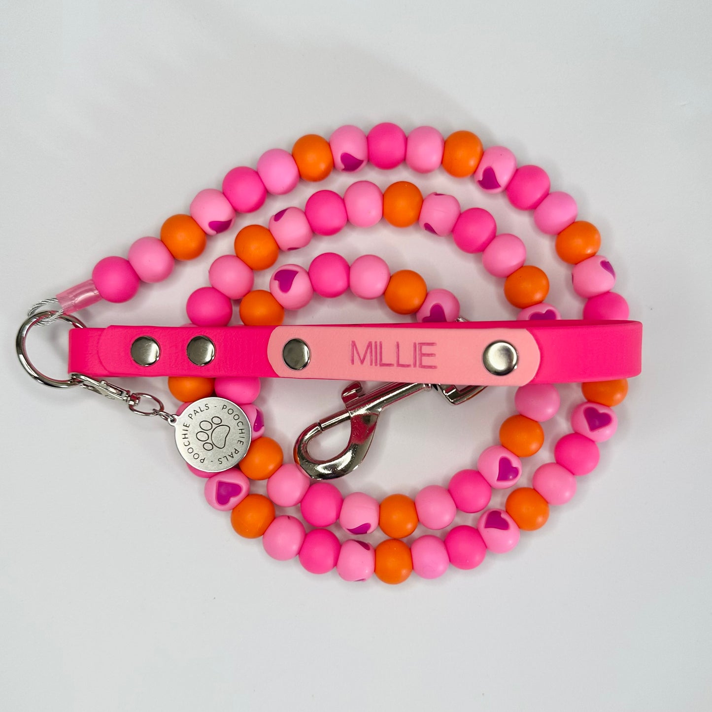 Custom Biothane Beaded Dog Lead