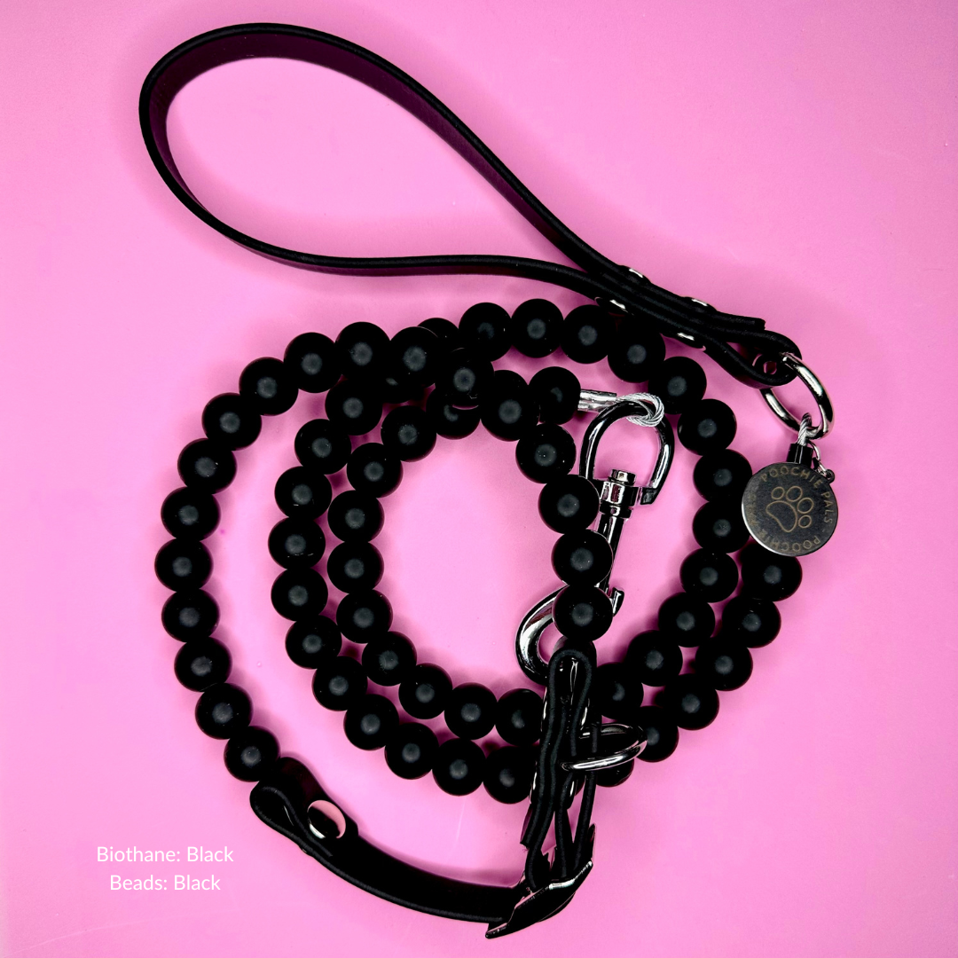 Custom Biothane Beaded Dog Lead