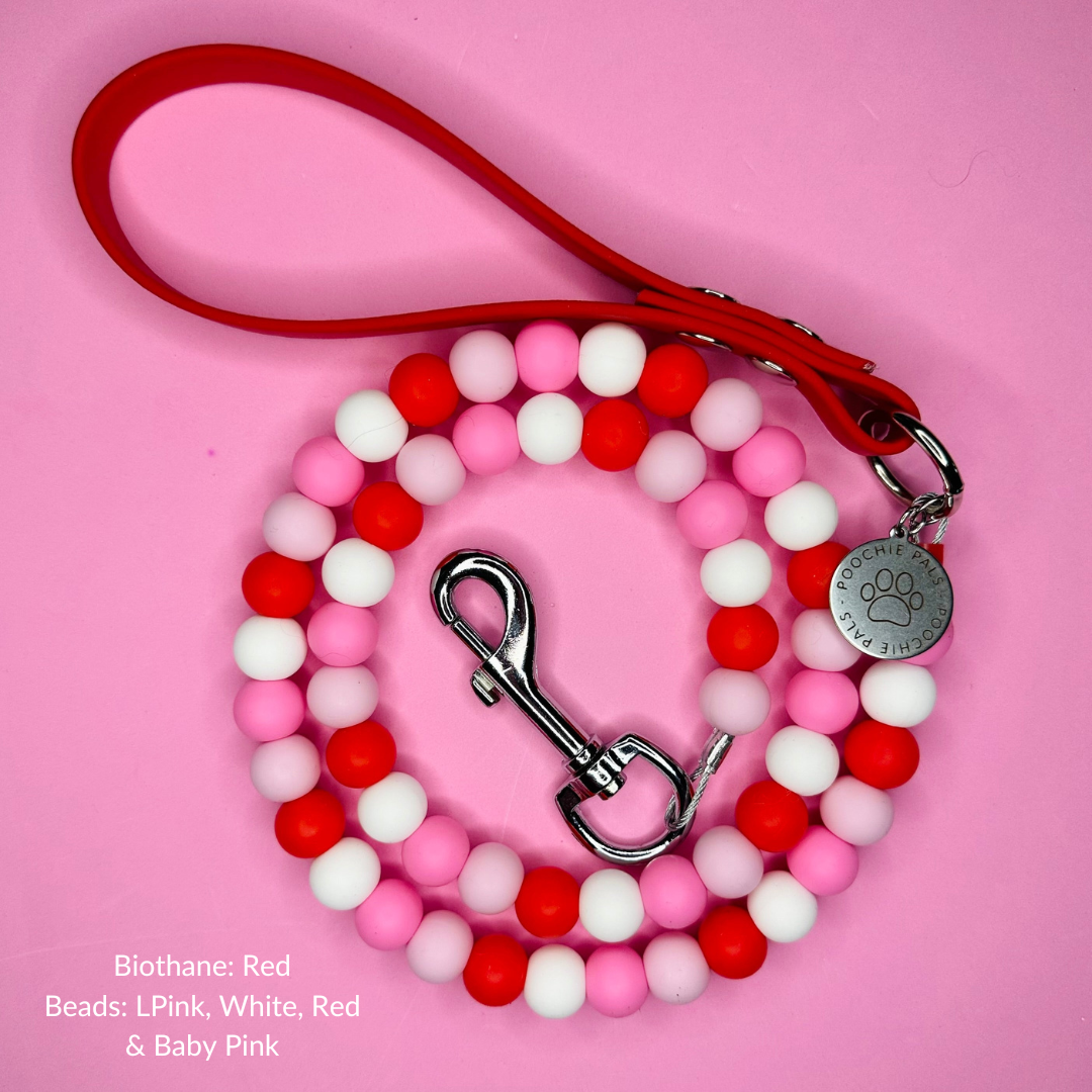 Custom Biothane Beaded Dog Lead