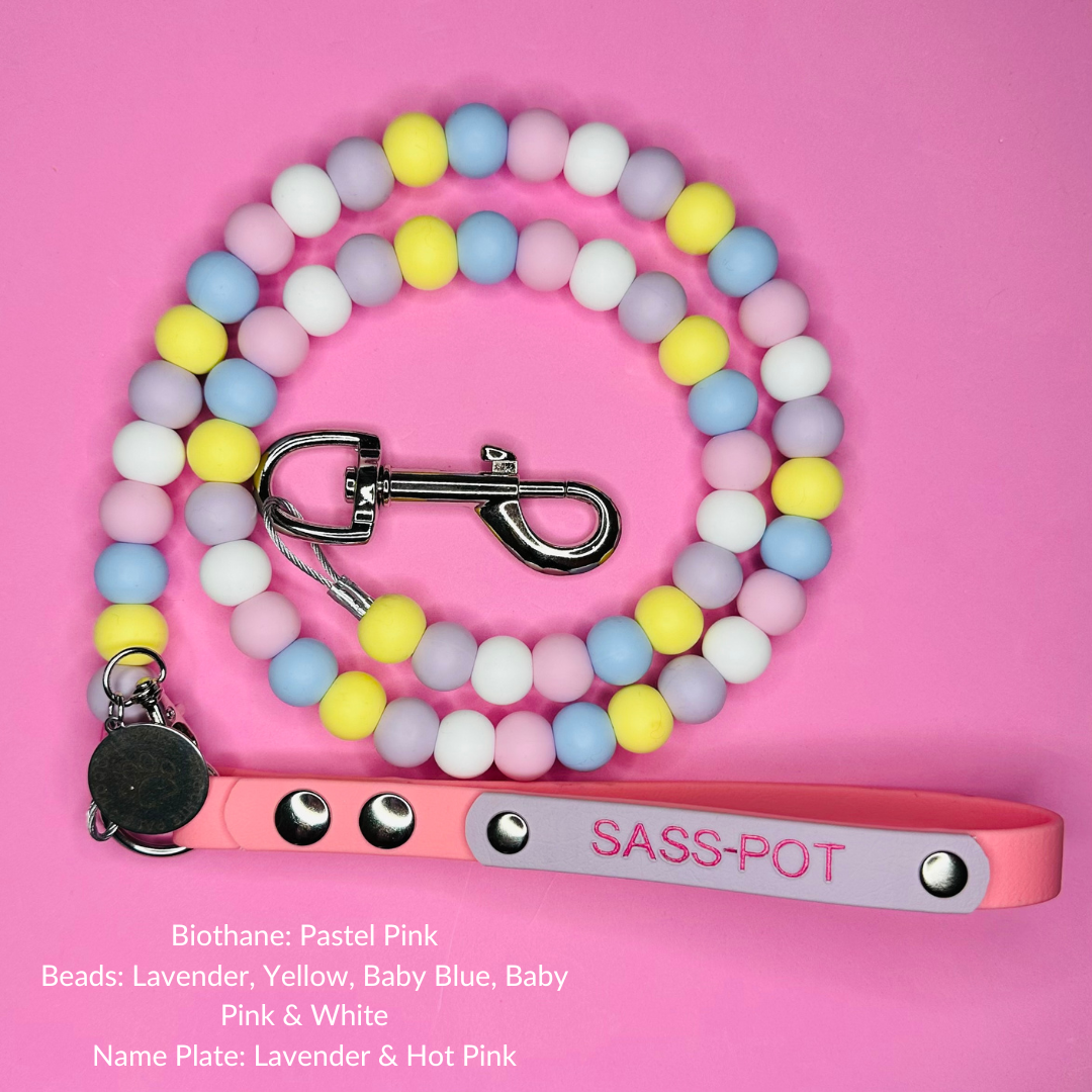 Custom Biothane Beaded Dog Lead