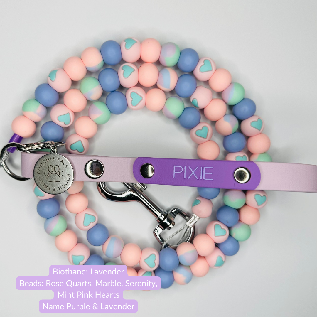 Custom Biothane Beaded Dog Lead