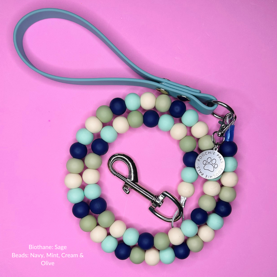 Custom Biothane Beaded Dog Lead