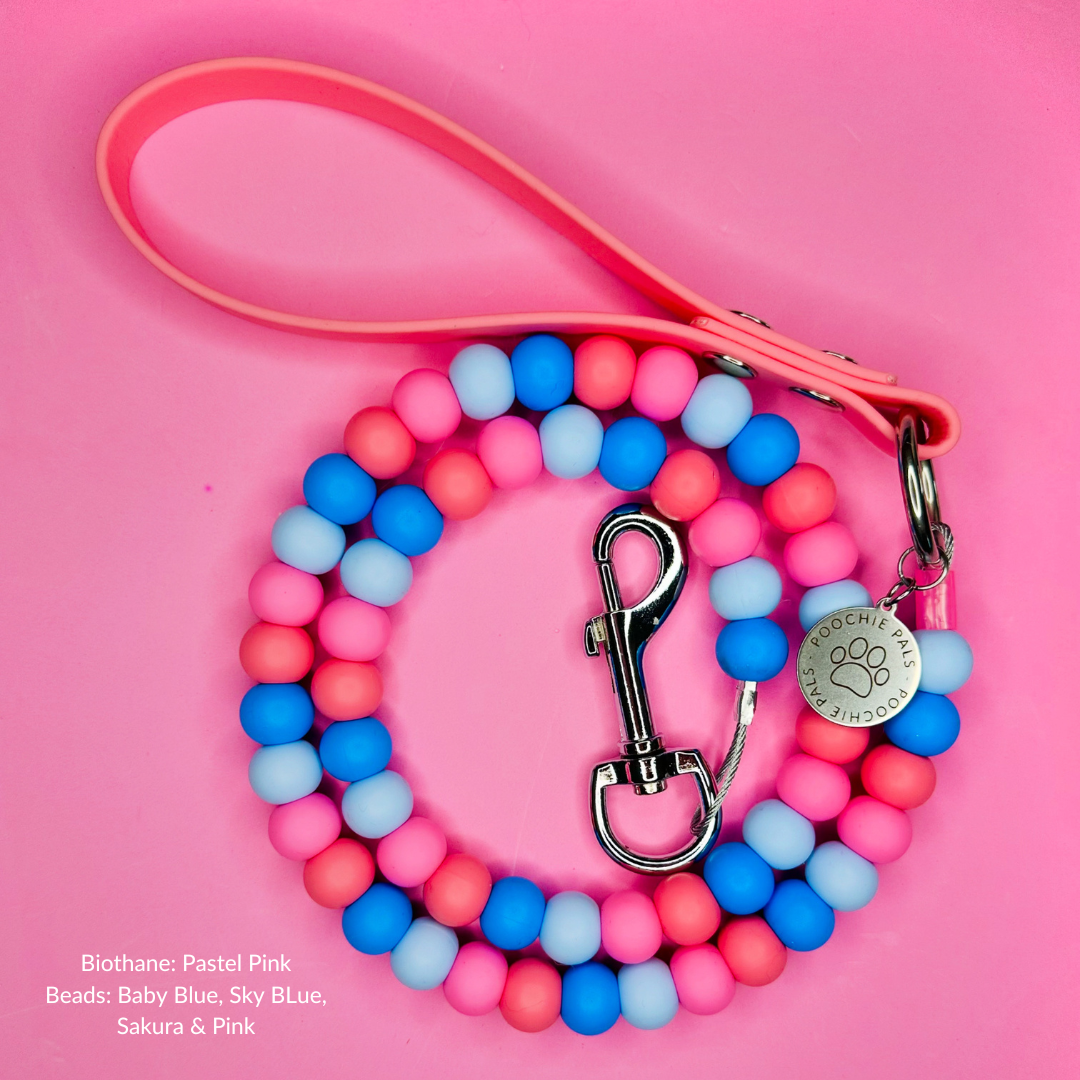 Custom Biothane Beaded Dog Lead