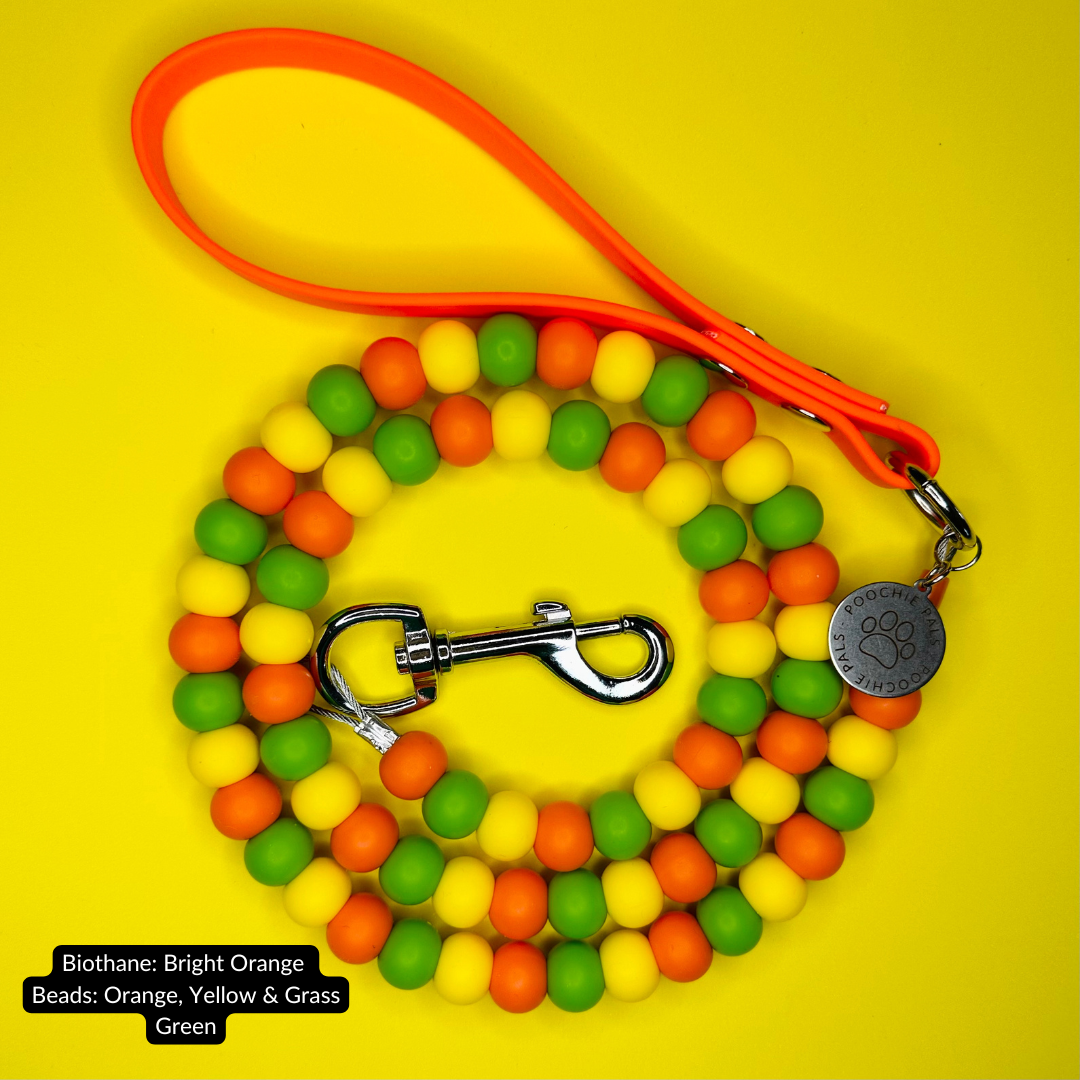 Custom Biothane Beaded Dog Lead