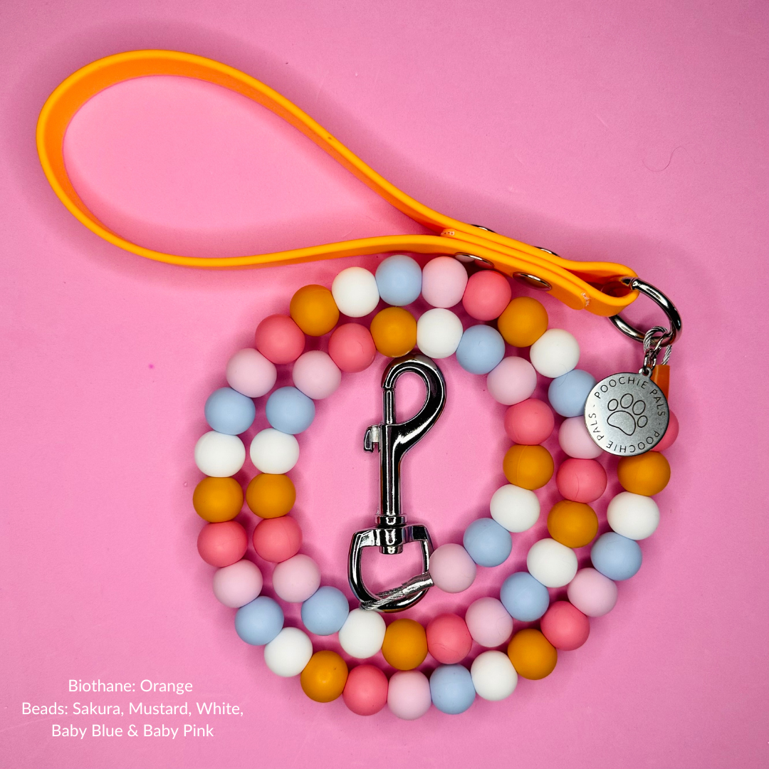 Custom Biothane Beaded Dog Lead