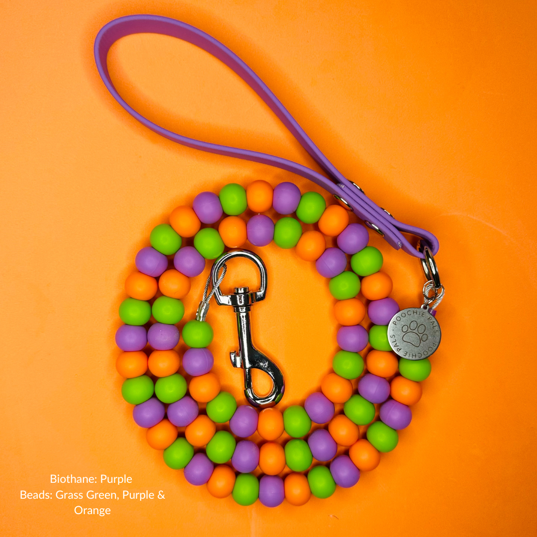 Custom Biothane Beaded Dog Lead