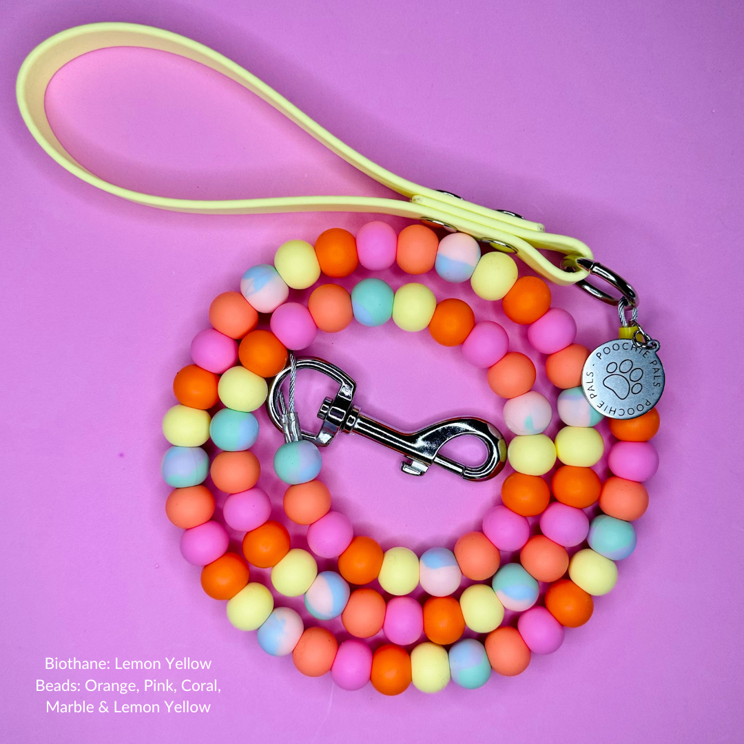 Custom Biothane Beaded Dog Lead