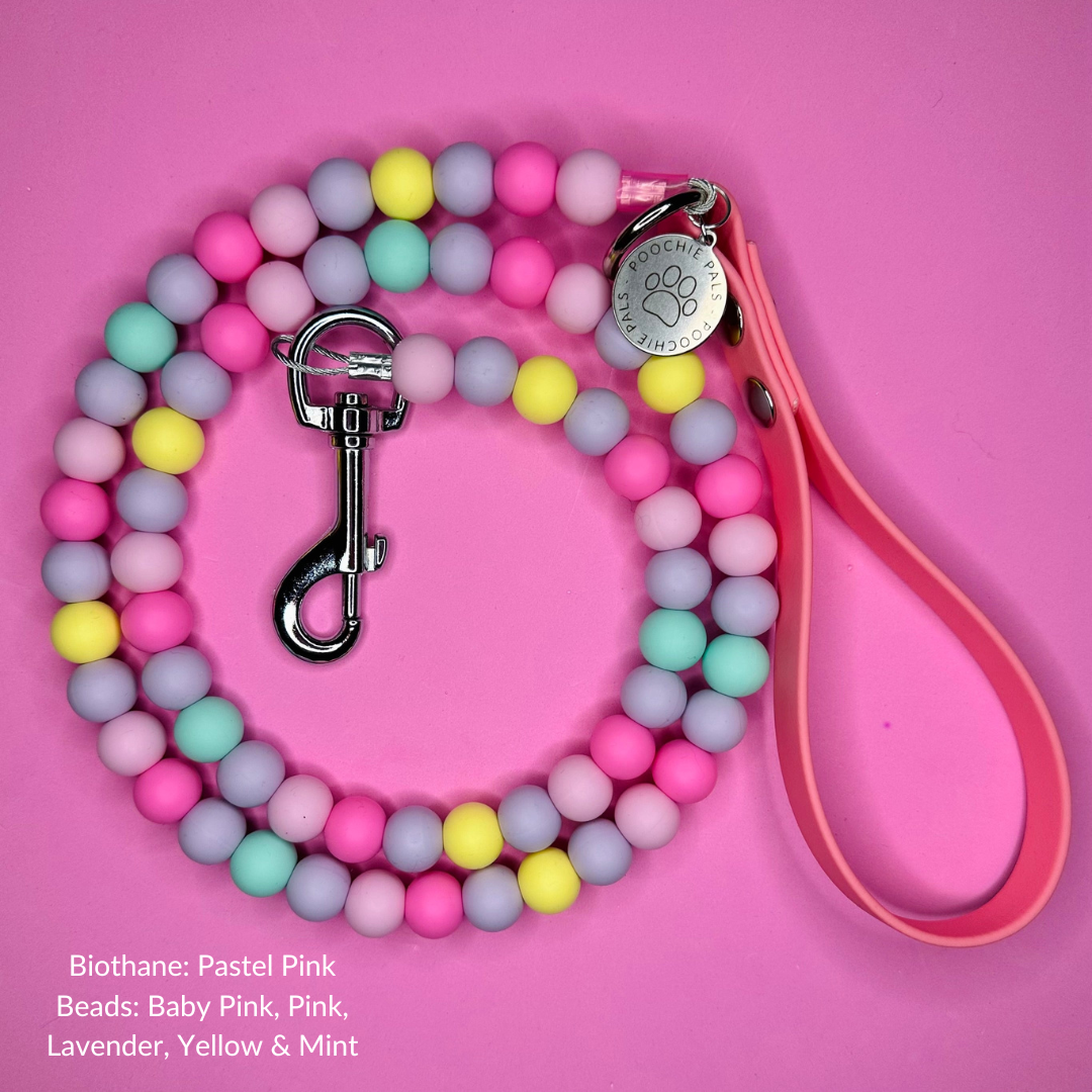 Custom Biothane Beaded Dog Lead