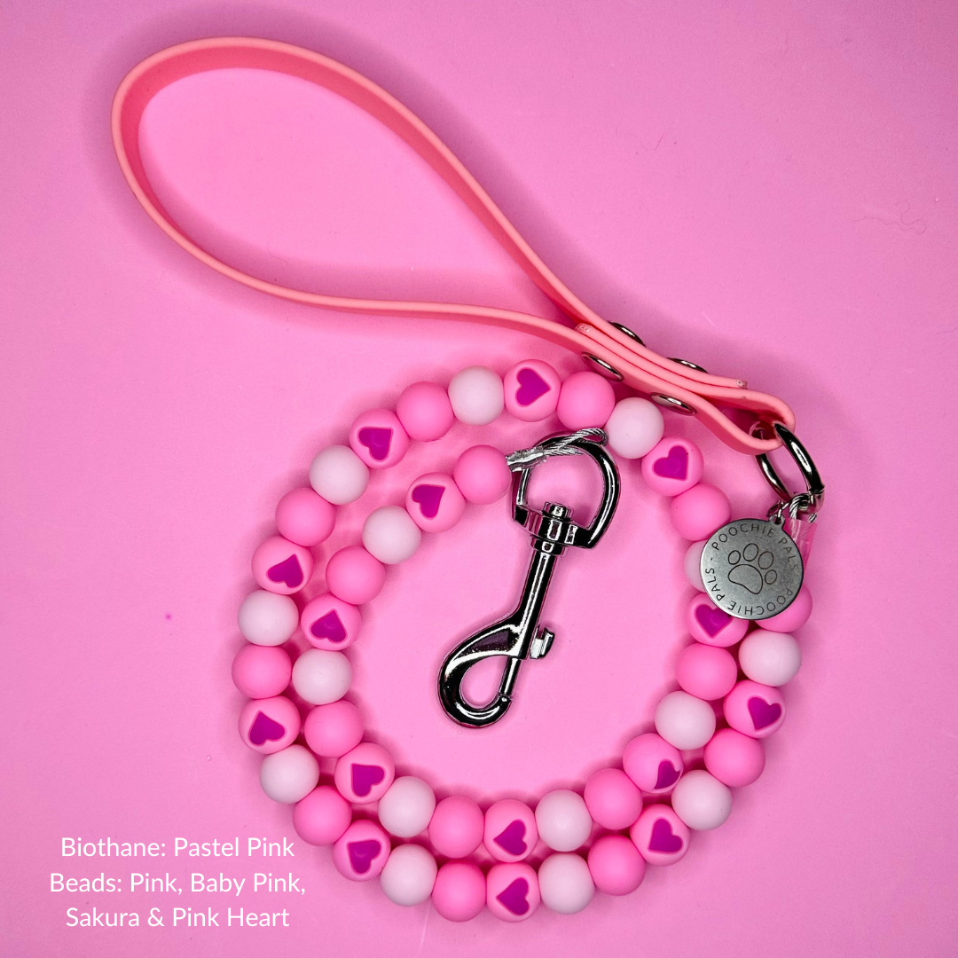 Custom Biothane Beaded Dog Lead