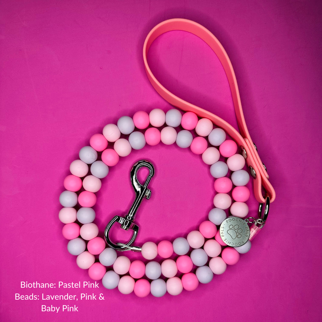 Custom Biothane Beaded Dog Lead
