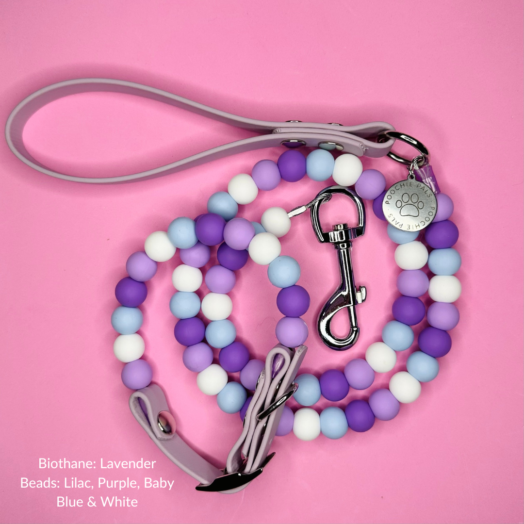 Custom Biothane Beaded Dog Lead